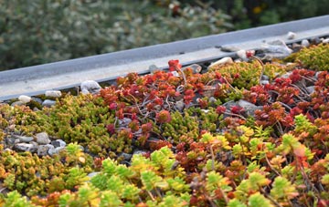 the cost of Upton Magna green roof installation